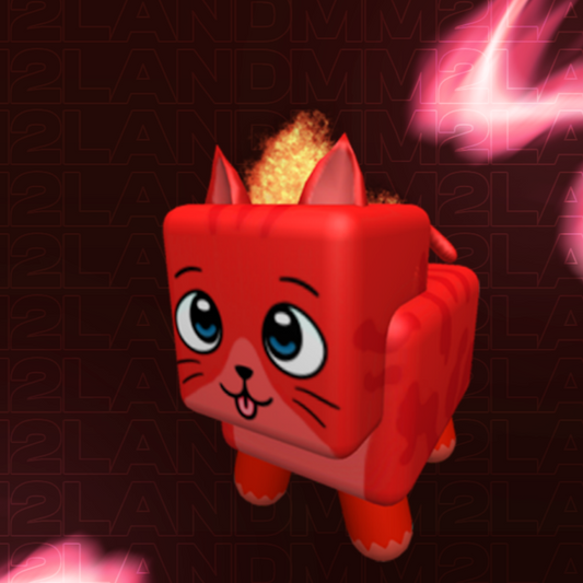 Fire Cat Pet